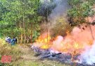 Công điện khẩn của Chủ tịch UBND tỉnh về phòng cháy, chữa cháy rừng
