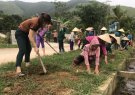 Chi hội Phụ nữ Hợp Tiến ra quân trồng hoa Hồng Quế góp phần xây dựng nông thôn mới kiểu mẫu.