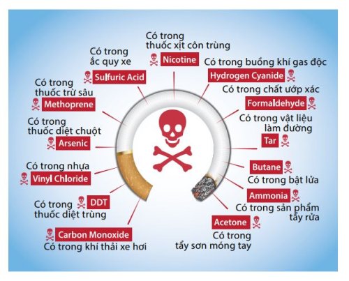 how-smoking-and-nicotine-damage-your-body-5.jpg