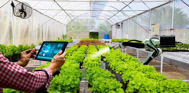 Ứng dụng IoT trên cánh đồng